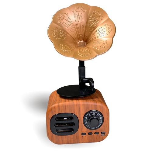 Retro Vintage Vinyl Speaker